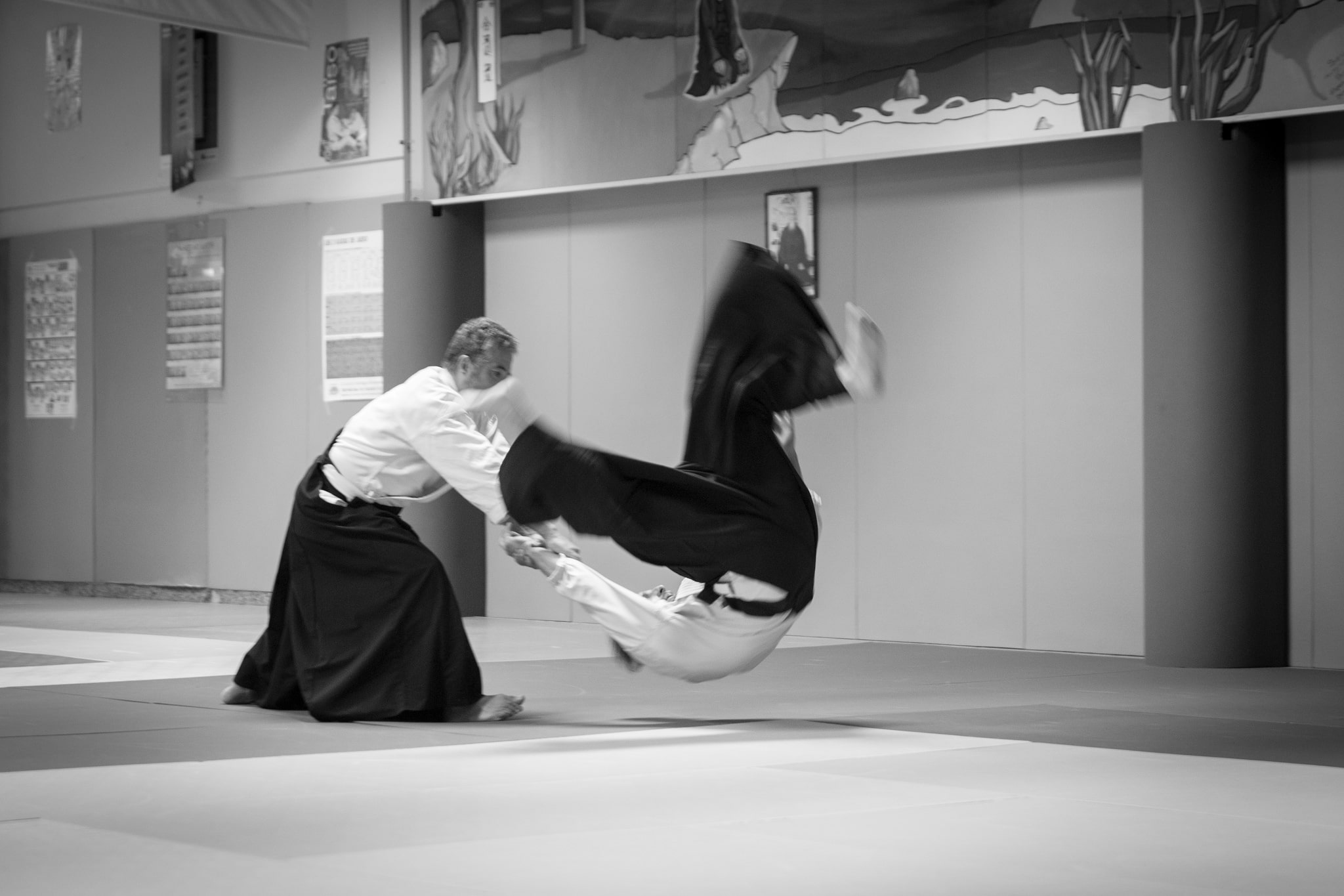 Image - Vineuil Sports Aikido