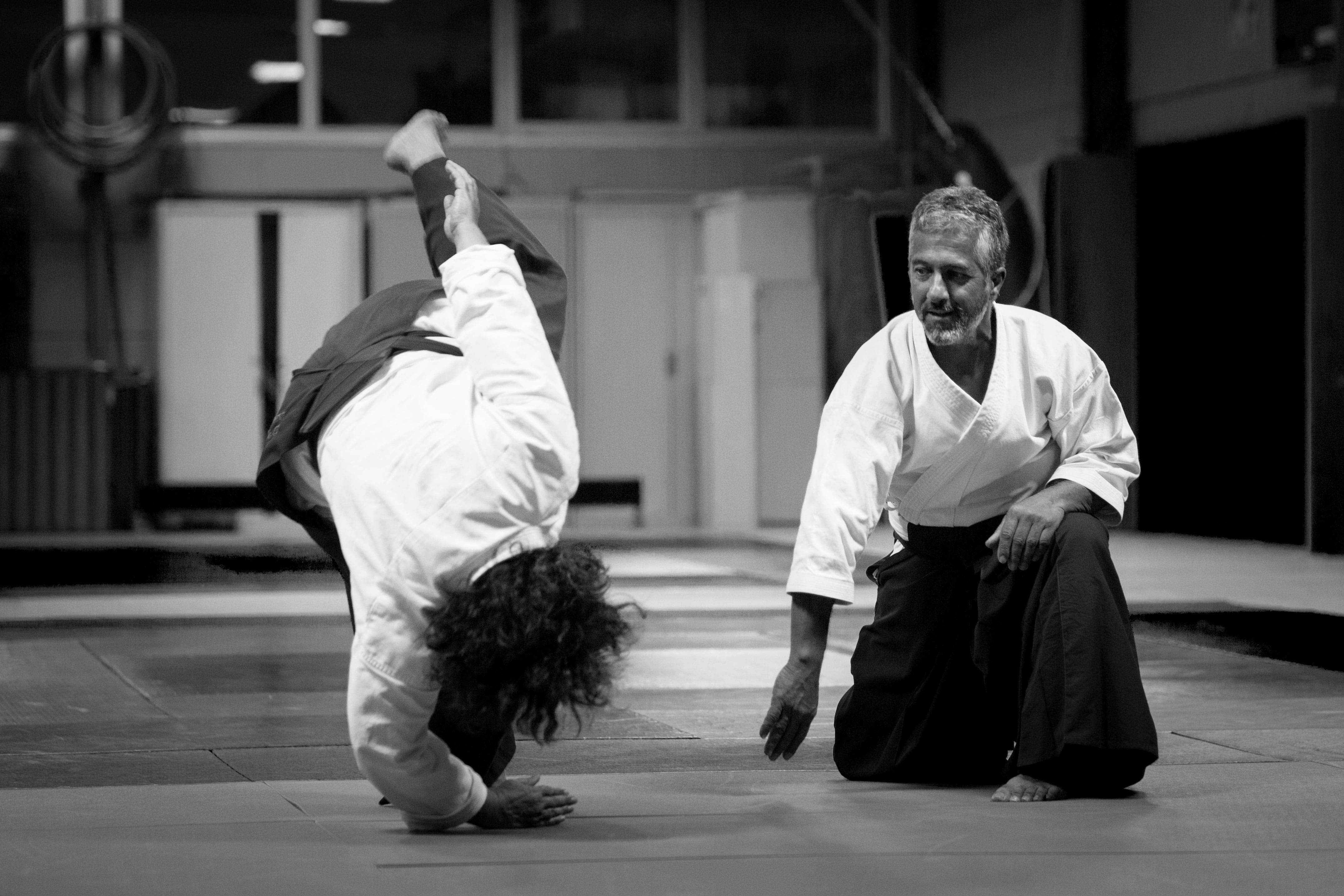 Image - Vineuil Sports Aikido